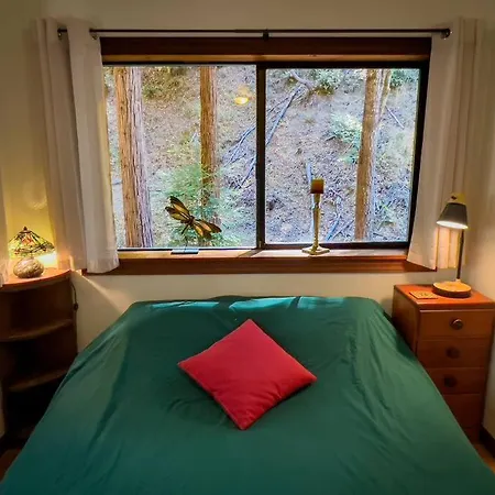 Little House In The Redwoods With A Hot Tub! Apartment Garberville Exterior photo