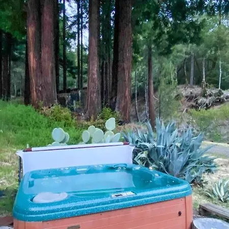 Little House In The Redwoods With A Hot Tub! Apartment Garberville Exterior photo