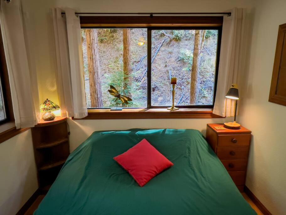 Apartment Little House In The Redwoods With A Hot Tub! *