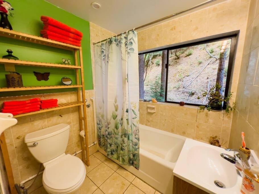 Little House In The Redwoods With A Hot Tub! Apartment Garberville