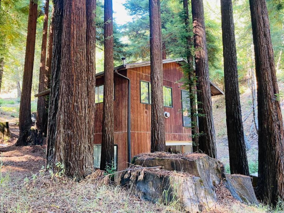 Apartment Little House In The Redwoods With A Hot Tub! Garberville