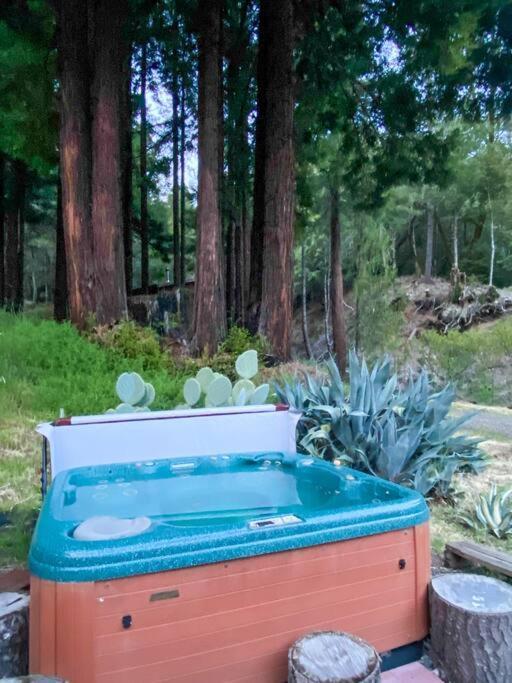 Little House In The Redwoods With A Hot Tub! * Garberville