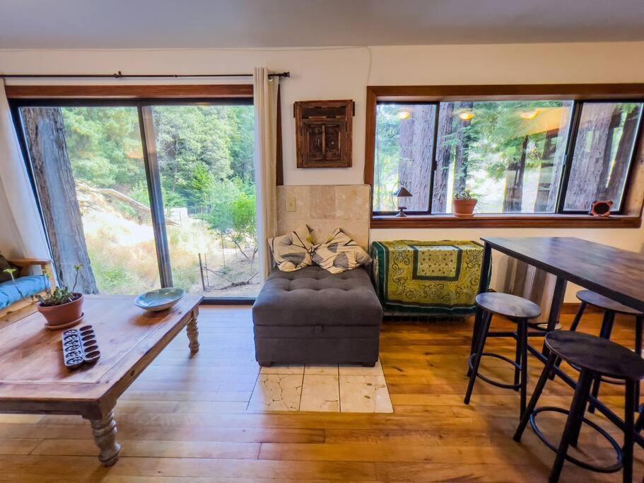 Little House In The Redwoods With A Hot Tub! Apartment